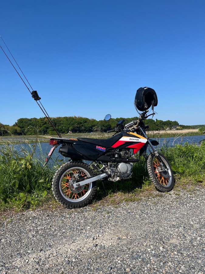 最近のお楽しみ